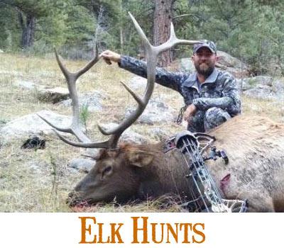 Wyoming Elk Hunts